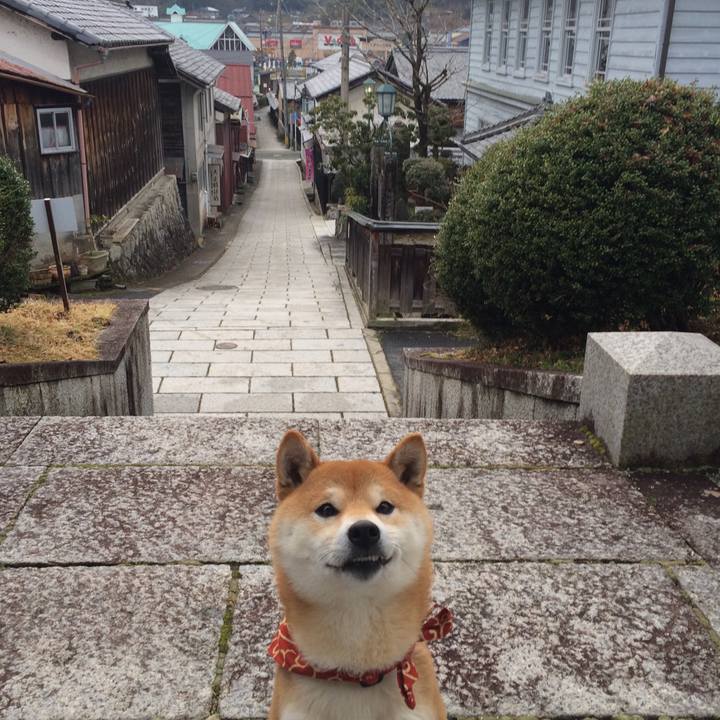 D5109288 ca57 42d0 94ce 32c485ea1590