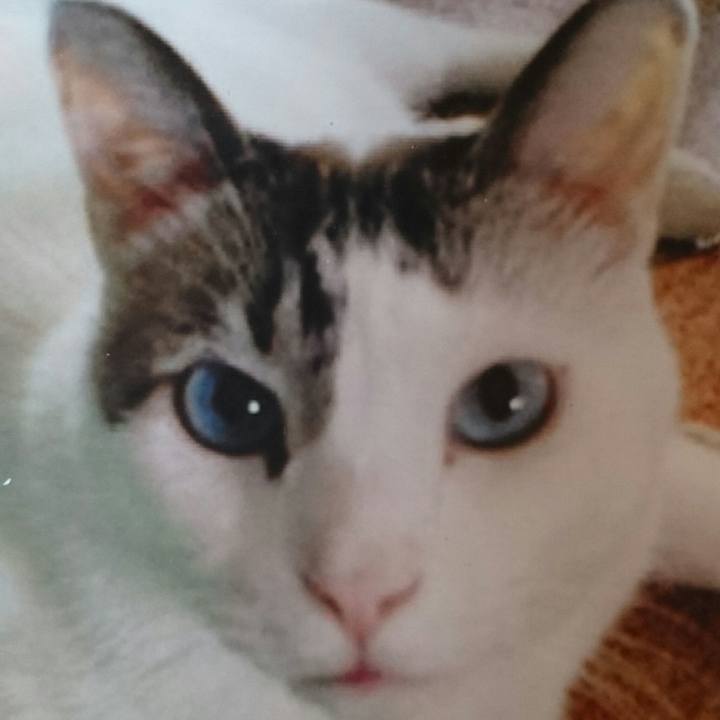 D510bf17 8c2f 436a ae35 a592ddec56d4