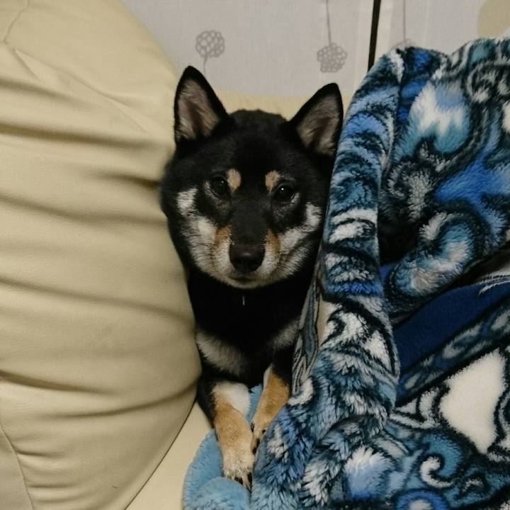 D510de60 ab89 4648 8da4 bebe8b8af3c5