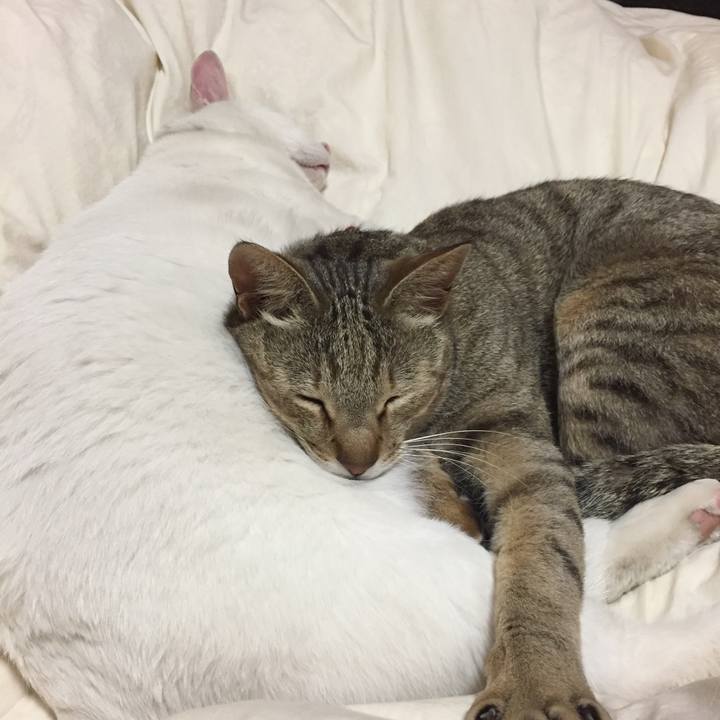 D5110616 c948 45db ae02 93de0abed36a