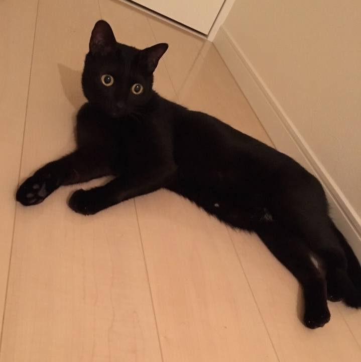 D5116a88 388d 4caf b7ab 2ce4fe7cb318