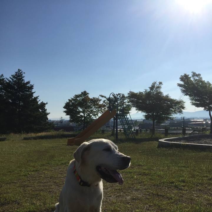 D511d301 4645 46c1 9f84 f758cdd53a52