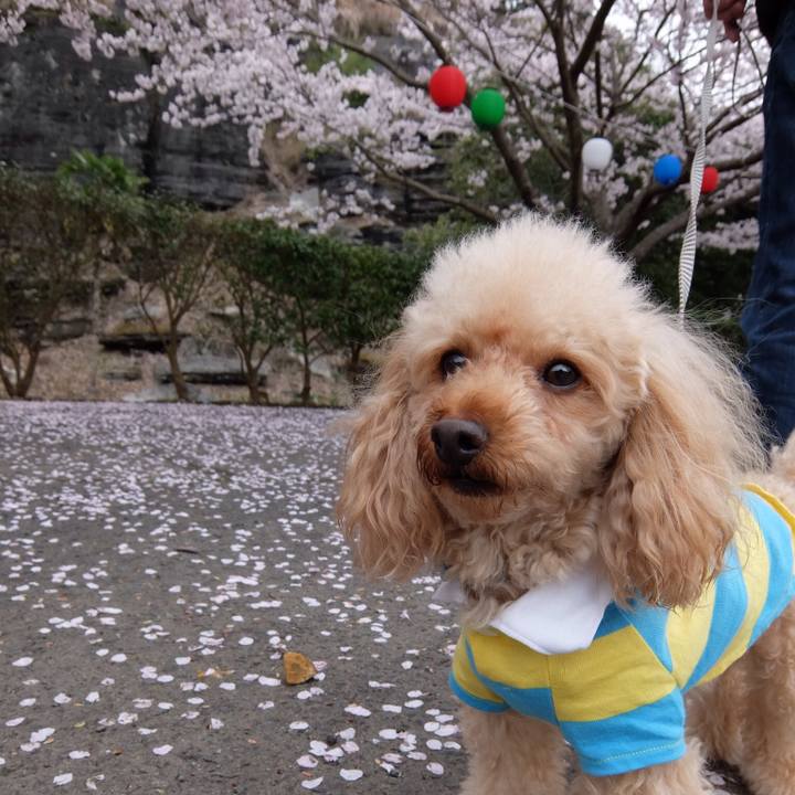 D5124bbe c28f 4f47 b742 e115643e69f2