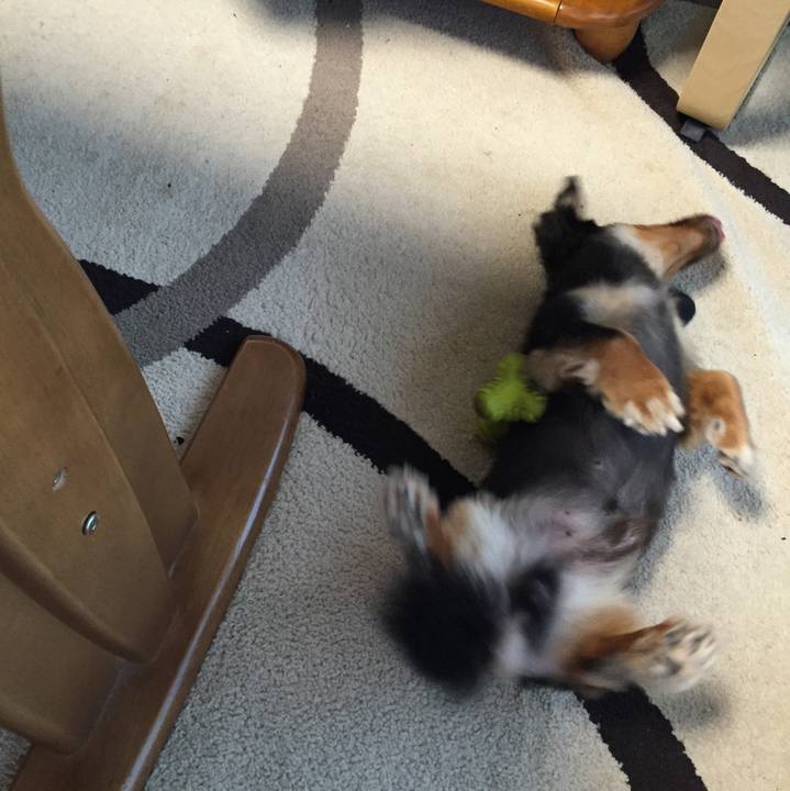 D513fef1 49ff 4551 97c4 12e3e90c729c