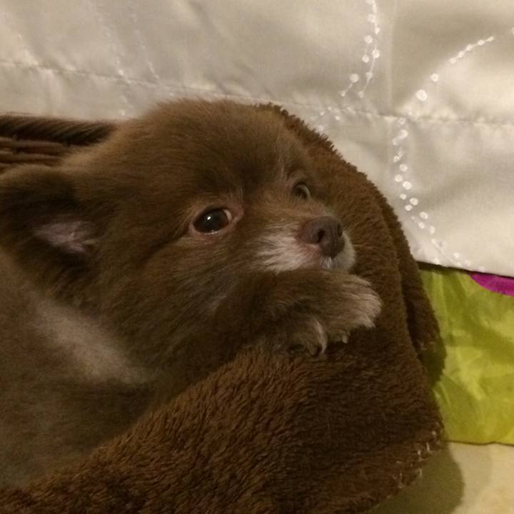 D5142983 2ec0 4569 9b47 3a9dcc196aeb