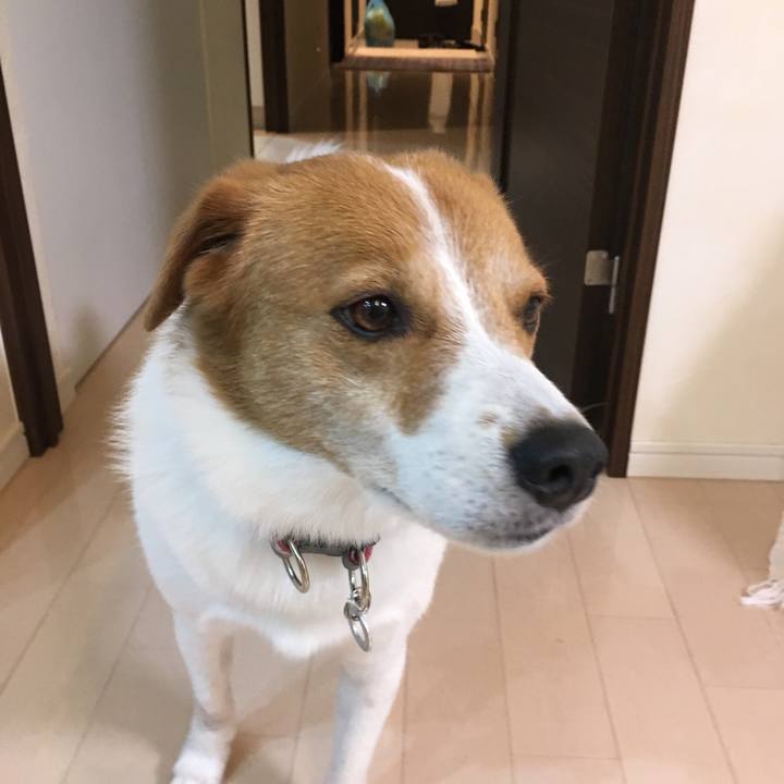 D5142d97 303b 43eb a89a 8a9d9358e48a