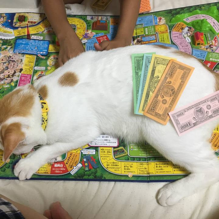 D5148ccc e50d 4c79 9d95 aec07d6859d3