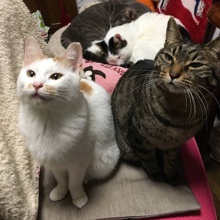 D515876f a91e 4c05 9582 26141bc6410a