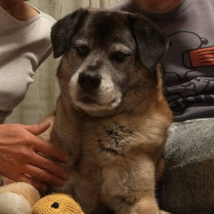 D5165388 2431 439c b428 23d2476bf25d