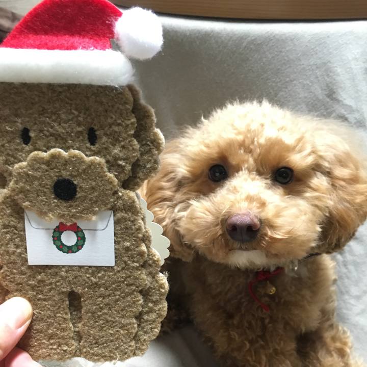 D5166002 add4 48d8 9b88 0cf770975954