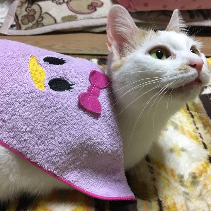 D5168b3b 3708 4bf3 bd41 a5fa36e93a86