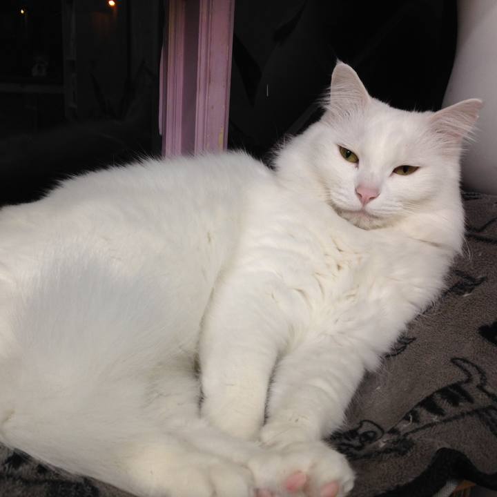 D51704d9 b288 495b 8a59 66b8d9467d8d