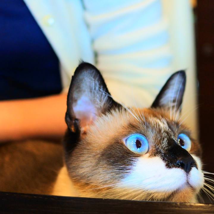 D5170ea6 26f2 4946 8cd2 8ed69fcc3b66