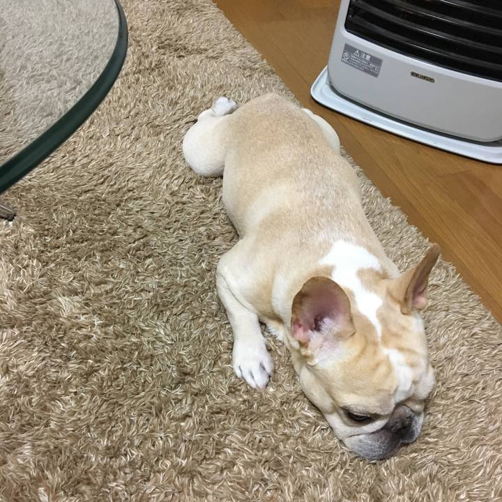 D5171aa6 56de 4b44 9743 e0dad704d08f