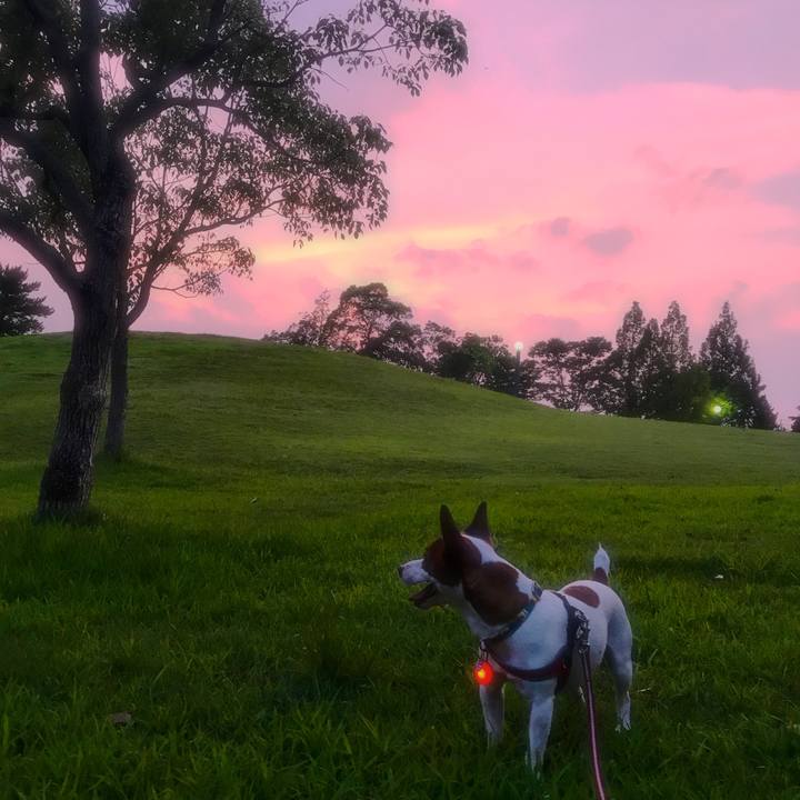 D51770e3 6771 4652 9c92 8c11767af705