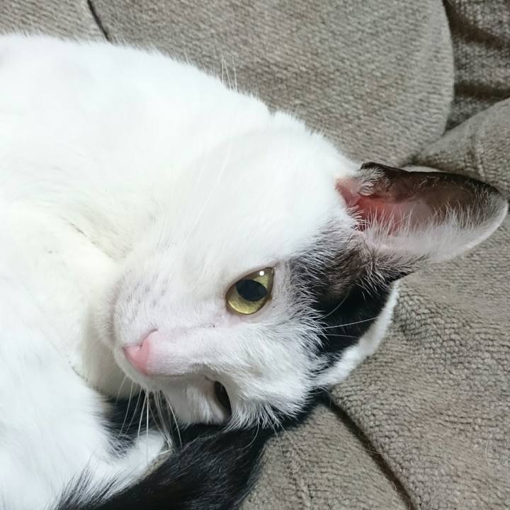 D5179304 0f00 4089 a30f cb418d2d711f