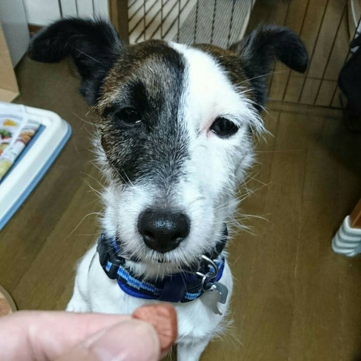 D5179cfe a193 4b92 875b 16a9f429dc1c