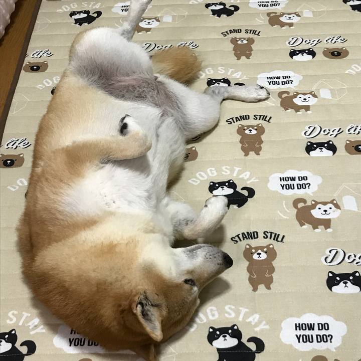 D517c1fc c852 4a94 ae59 48cc7f592acd