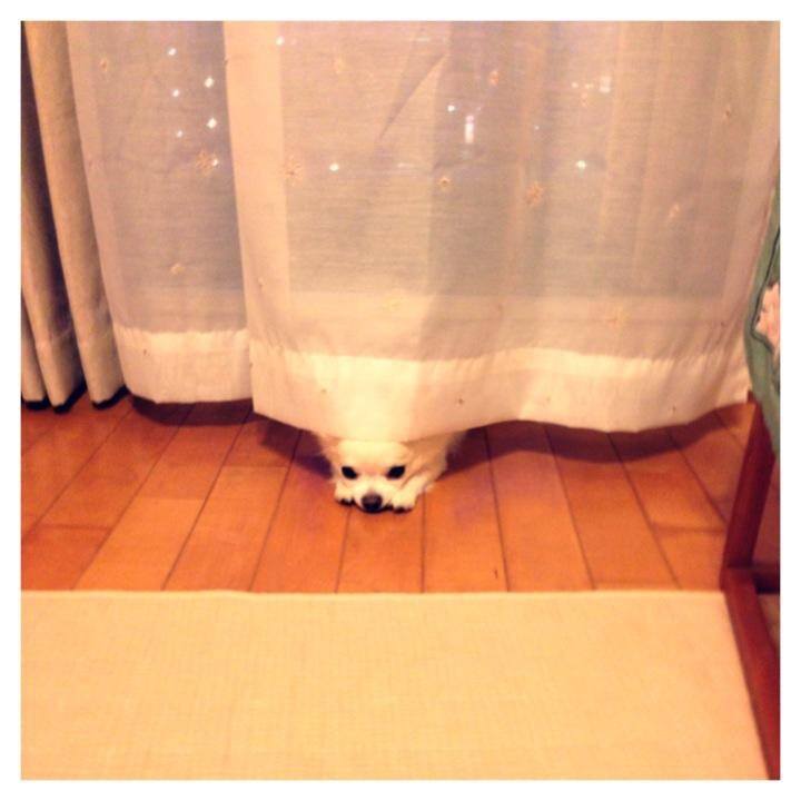 D517c265 3cb7 417f b828 b3af9aec9103