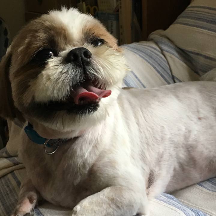 D517e053 6826 4ab9 ad96 e1e9db1de4af