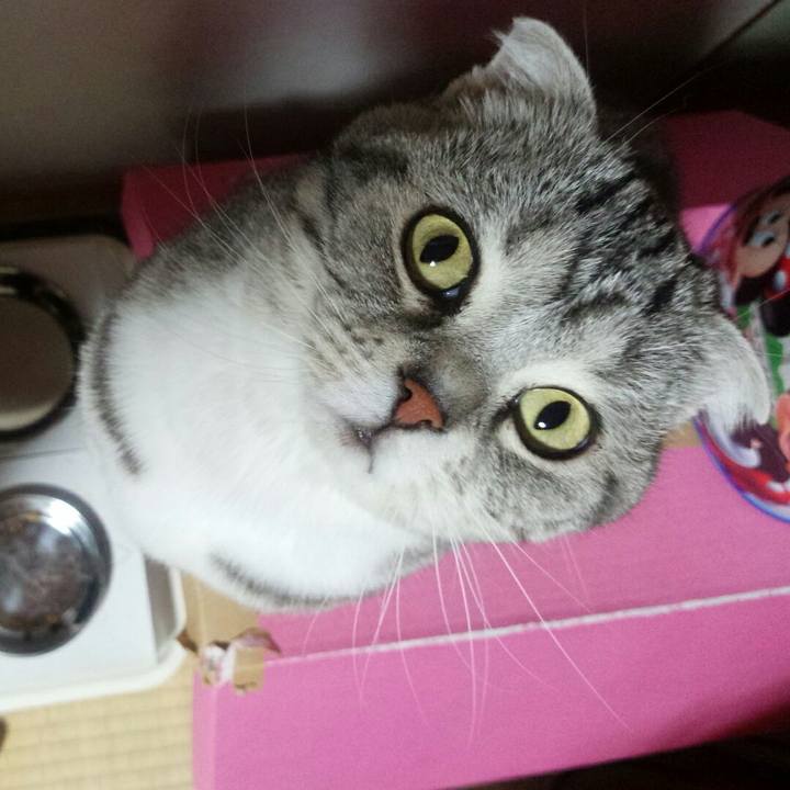 D51835af 2e95 4e6f b99e ecb4a99ba7c4