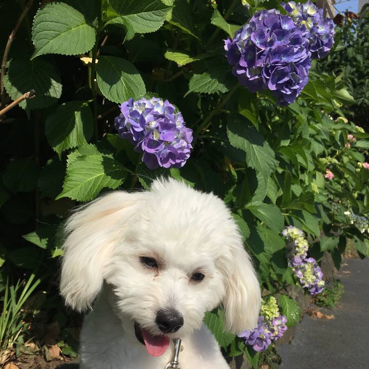 D5184282 938f 4288 b638 bf0cdb7aa4bd