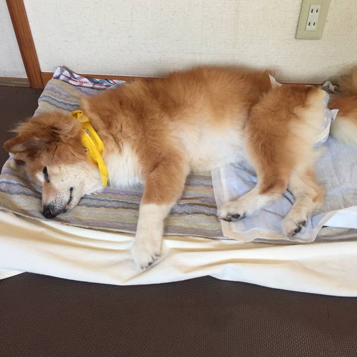 D5184d61 4b1e 4758 9e20 2ab53a3a107e