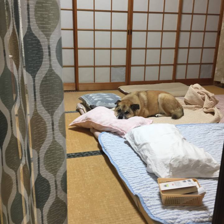 D51889d6 1331 42cd 9d06 9ca96a4916cf