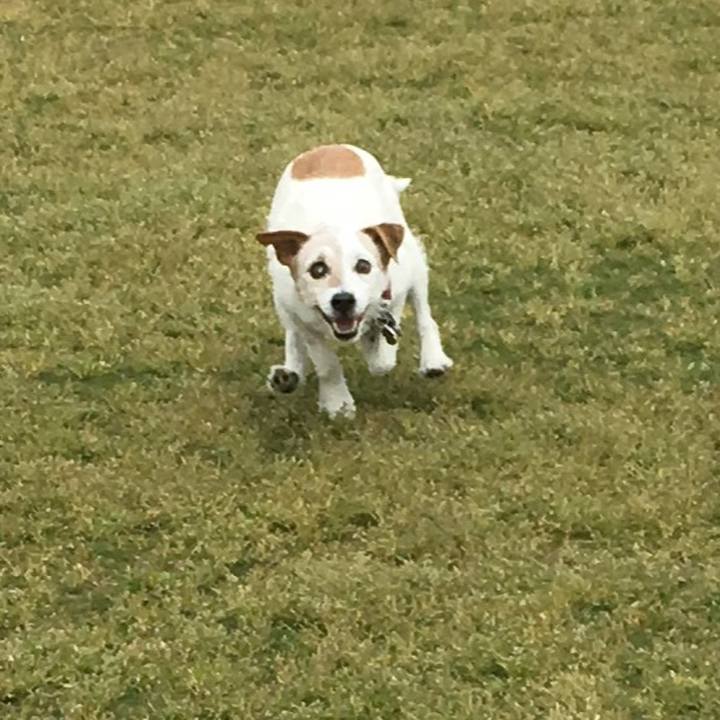 D518a7df 0ac8 454a 926f 99ea5f39baad