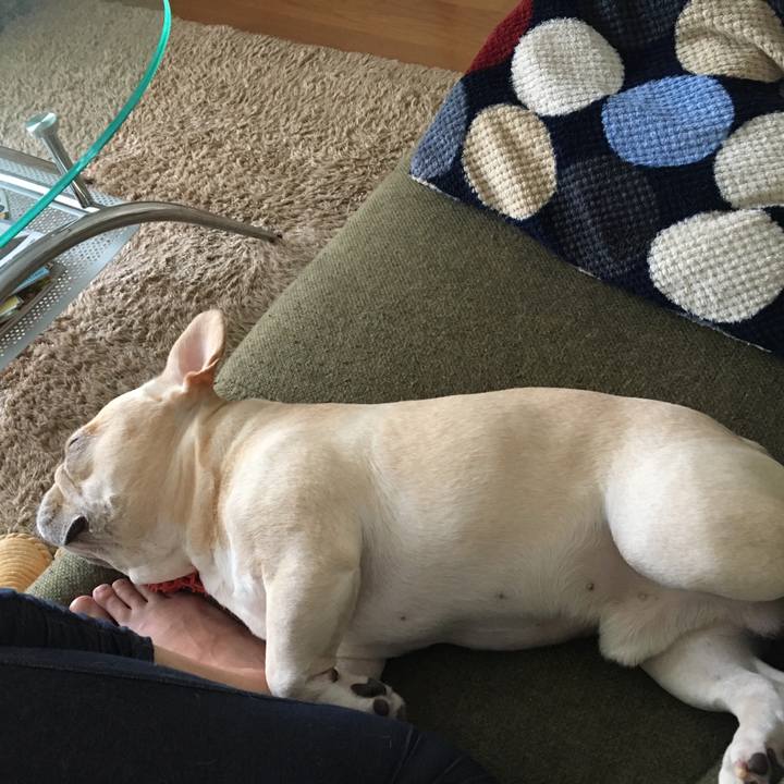 D518ff50 f1b4 4c66 b205 8f9232dfbdca