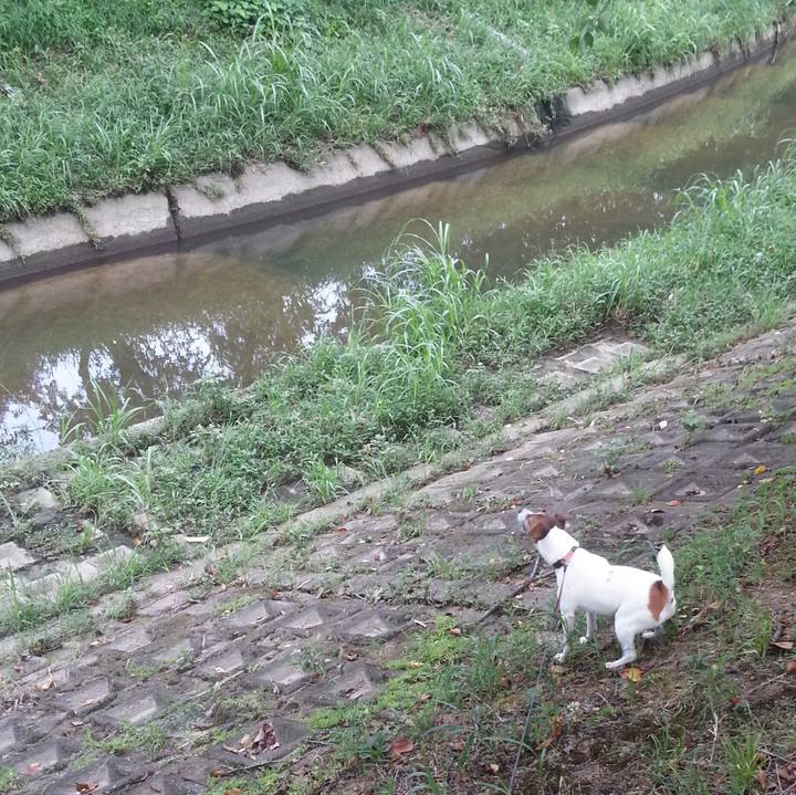 D51959a3 de29 41a8 ba65 36618e908c28