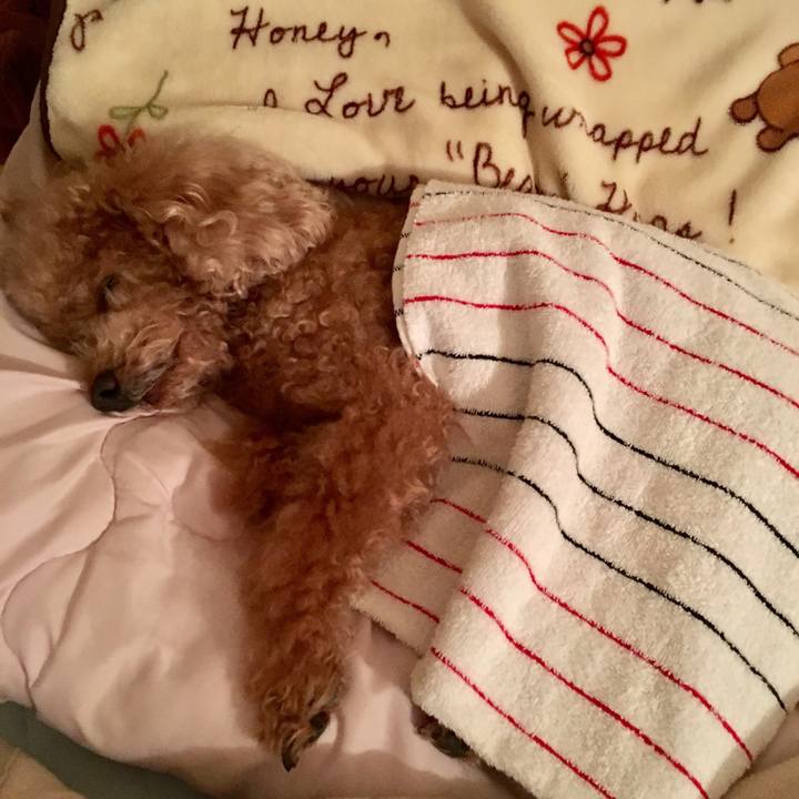 D5197c8a 440f 4942 89dc fc07c4920ef1