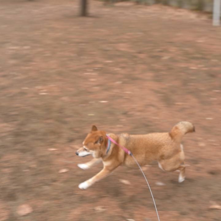 D519a3b5 0e5f 41d6 b421 a58dc9f2c2a7