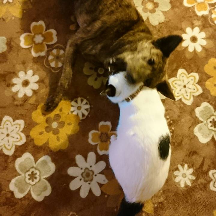 D519c048 1c10 4af8 8fce 944730977cd0