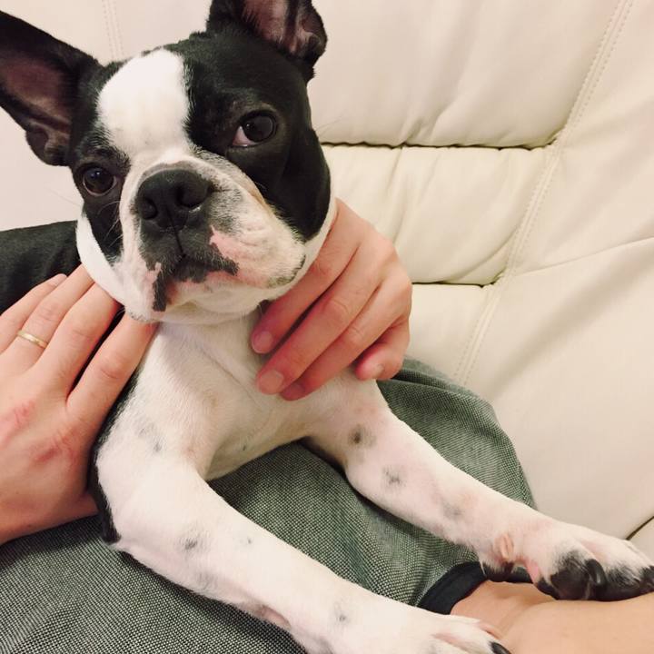 D519e202 4902 4a97 a702 83b9f9fc735e