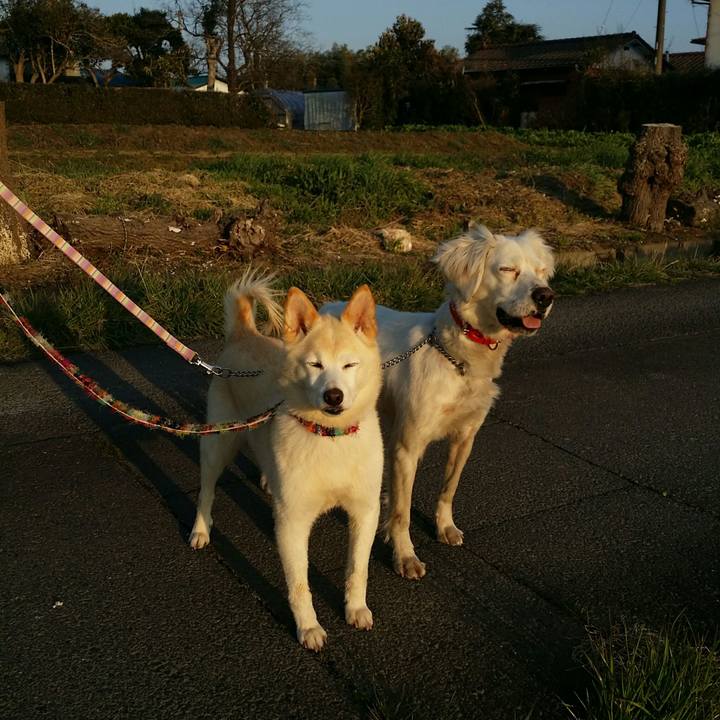 D51a25eb d0a2 4067 be80 5ba2b90cecaf