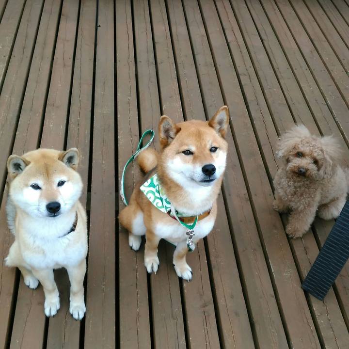 D51ab04f df62 4d3c a701 733494911c1e