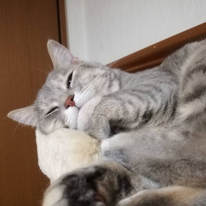 D51ae751 5f9f 4064 9feb f00b006b3a5e