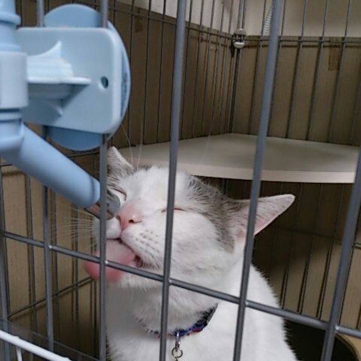 D51b1387 e2ff 4056 9ff7 79bf5998cfb2