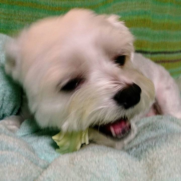 D51ba28a 6dc6 4e64 85c2 a0fdf356649c