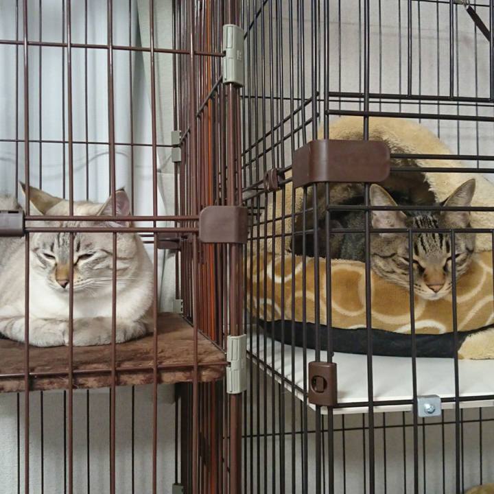 D51c0770 9f0d 41ba aefa 9596ce71432b