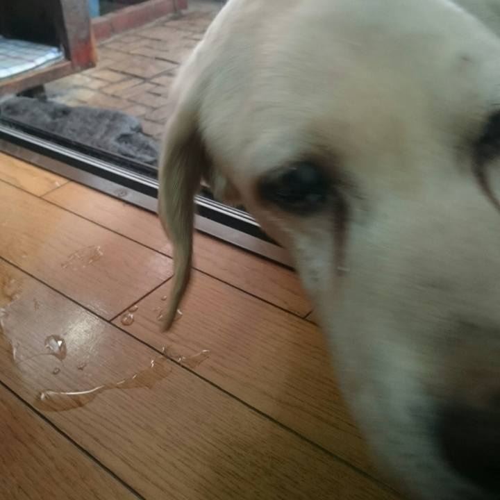 D51ca02c 27e2 4207 ba25 c14b35019117