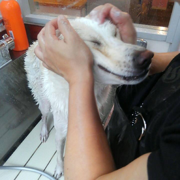 D51d54b2 3afb 4c63 8112 6d3975ea5967