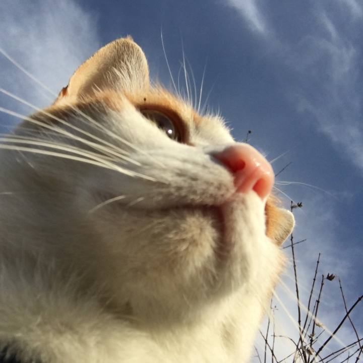 D51d6bbf 7e85 4436 b72a a107c5227348