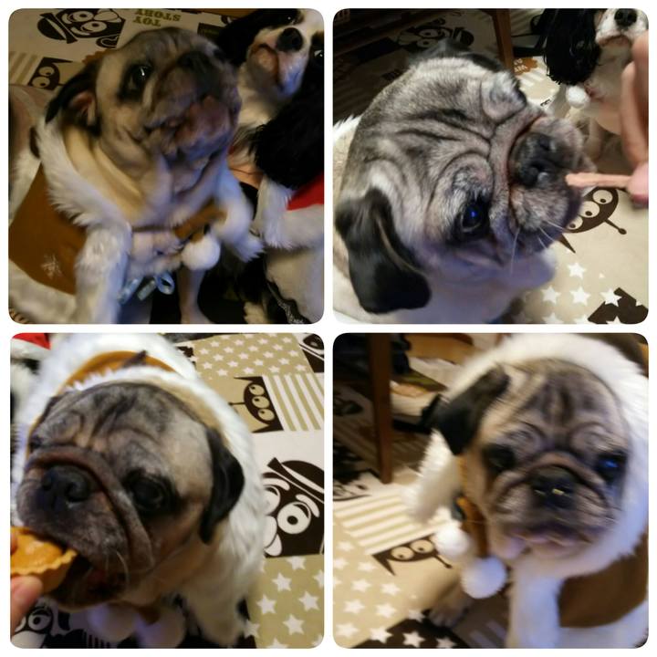 D51d79da 32b5 409a 8537 41c98554704b