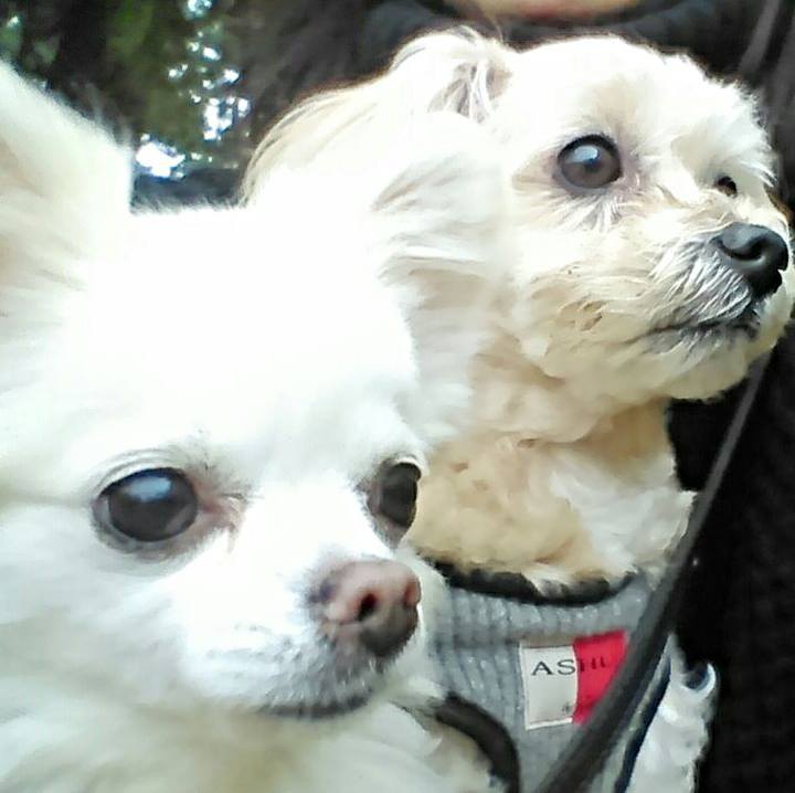 D51dbb99 520a 4938 8cb4 a98c97adf7cf