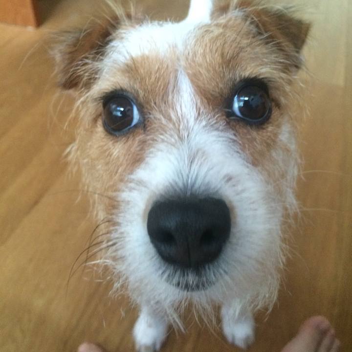 D51dfa9a b818 4709 b3cc a25b33cbf14d