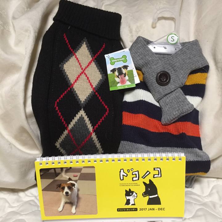 D51e0537 ddd3 40f4 be3f 0bdf9aa139be