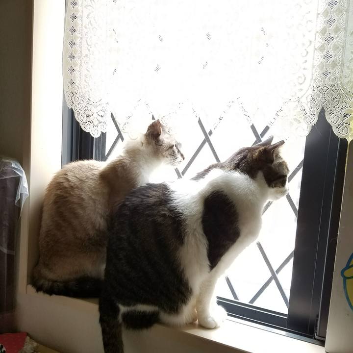 D51f63be f9bd 4bb0 82e7 118f0937f45a