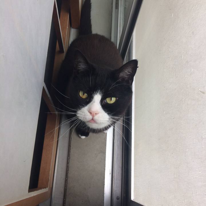 D51f7125 46a4 40f0 b185 b4b3fa5b6139